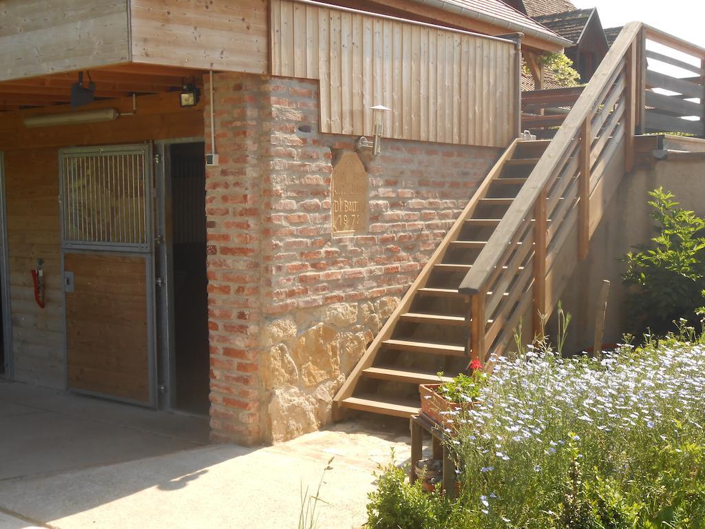 Gite Du Rotenberg Bergheim Ngoại thất bức ảnh
