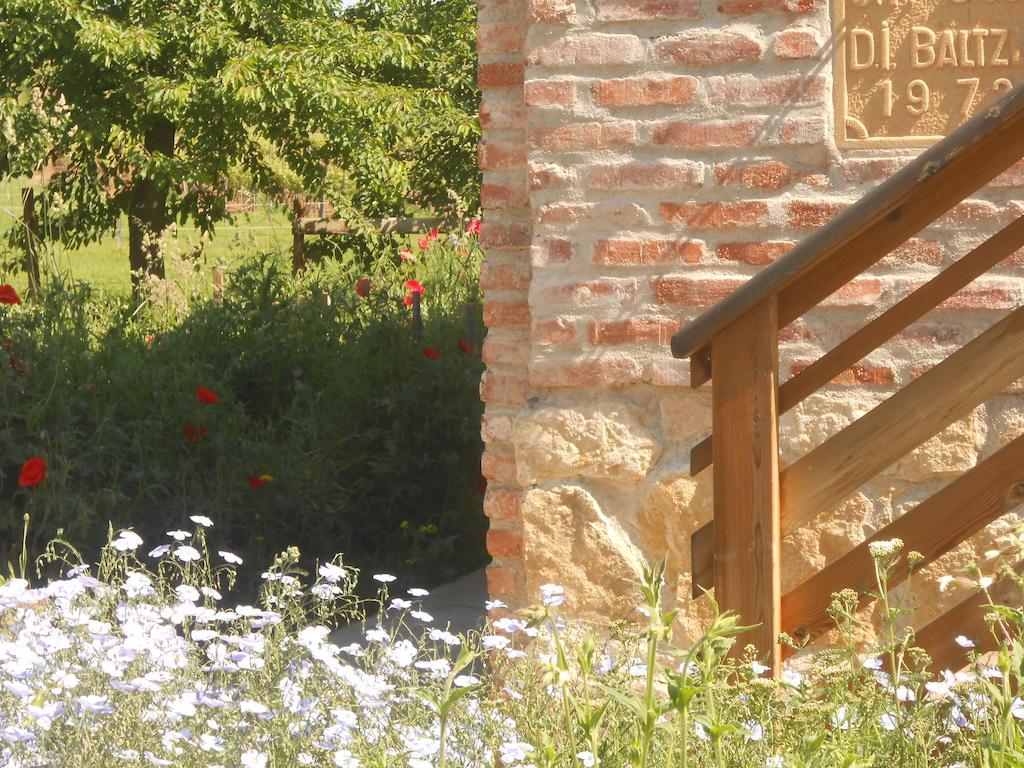 Gite Du Rotenberg Bergheim Ngoại thất bức ảnh