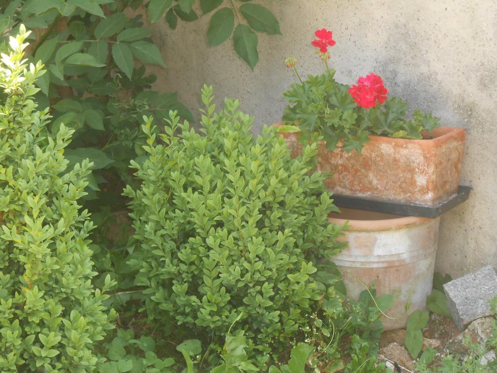 Gite Du Rotenberg Bergheim Ngoại thất bức ảnh